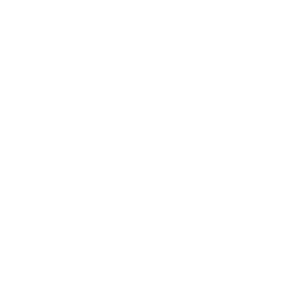 Black Flag Sasso